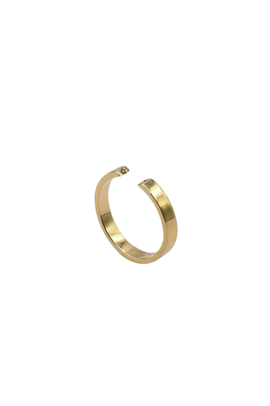 HIDDEN TREASURES Ring