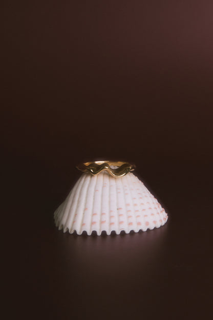 SHELL Ring