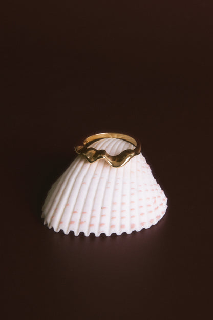 SHELL Ring