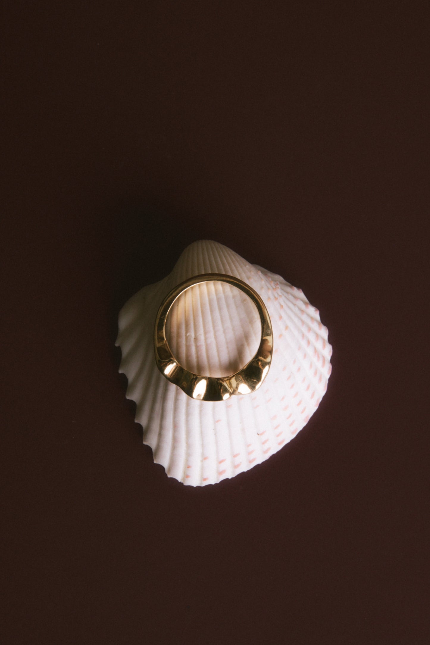 SHELL Ring